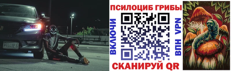 omg вход  Нюрба  Галлюциногенные грибы Magic Shrooms 